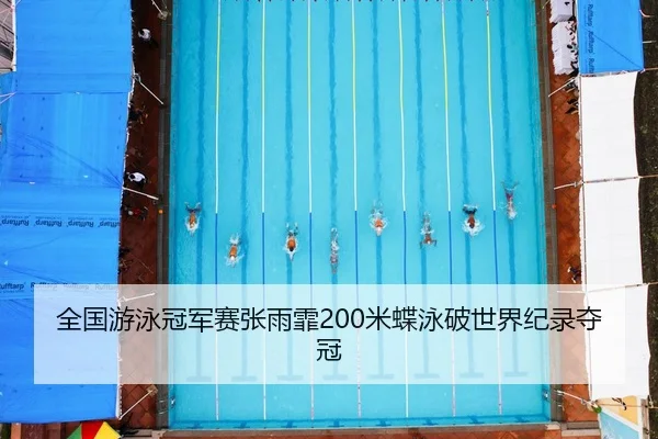 quan-guo-you-yong-guan-jun-sai-zhang-yu-fei-mi-die-yong-po-shi-jie-ji-lu-duo-guan-2-376.jpg