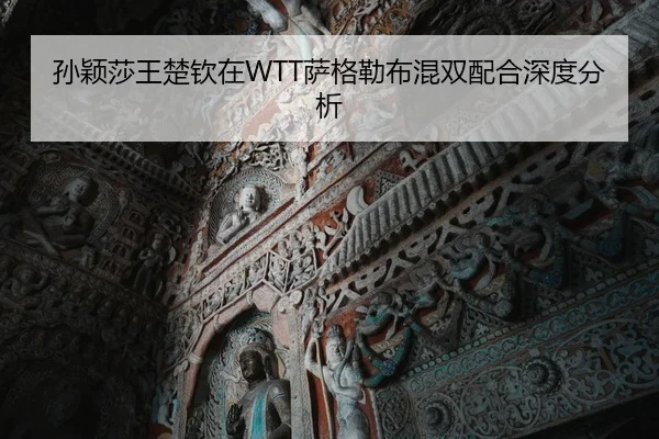 孙颖莎王楚钦在WTT萨格勒布混双配合深度分析