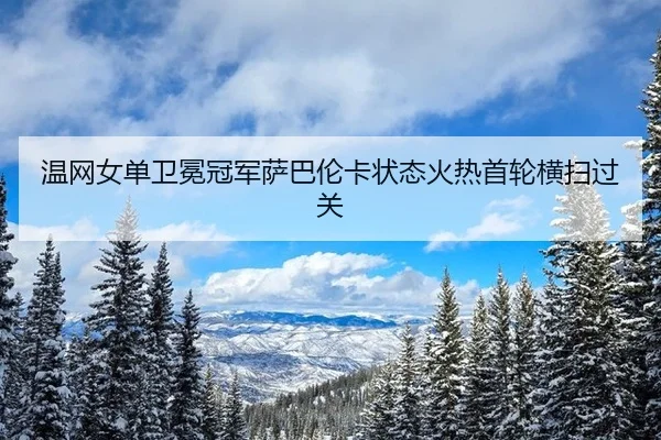 wen-wang-nv-dan-wei-mian-guan-jun-sa-ba-lun-ka-zhuang-tai-huo-re-shou-lun-heng-sao-guo-guan-3-825.jpg