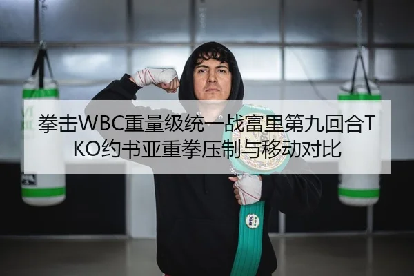 拳击WBC重量级统一战富里第九回合TKO约书亚重拳压制与移动对比