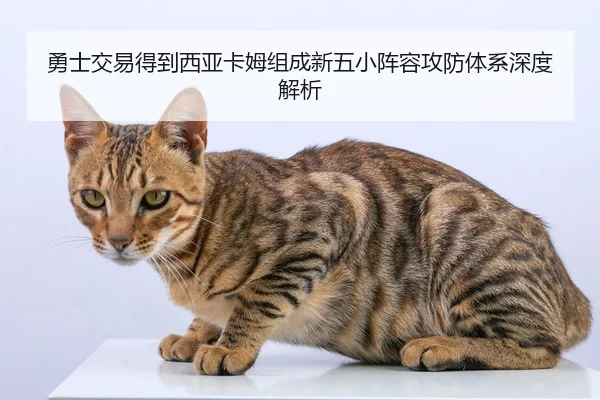 勇士交易得到西亚卡姆组成新五小阵容攻防体系深度解析